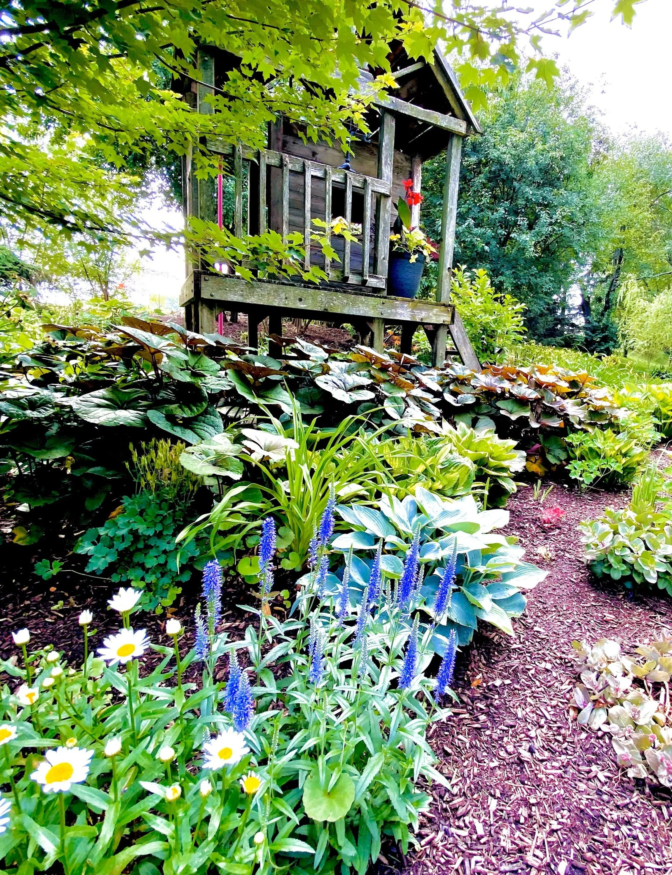 About 1 — Grayslake Greenery Garden Club